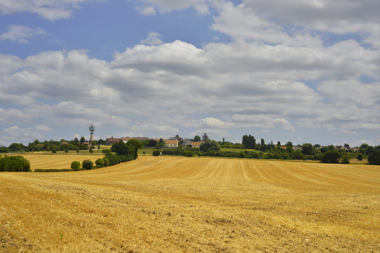 Courdimanche (95800) champ&ecirc;tre, d&eacute;partement du Val-d'Oise, en r&eacute;gion &Icirc;le-de-France, France