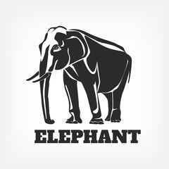 Elephant vector black illustration