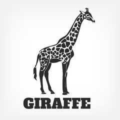 Obraz premium Vector giraffe black illustration