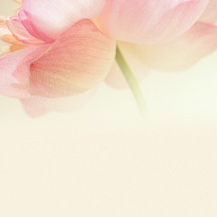 lotus de couleur douce dans des couleurs douces et un style flou sur la texture du papier de mûrier