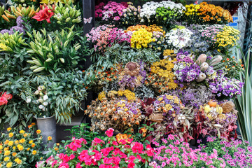 Flowers outside of flower shop