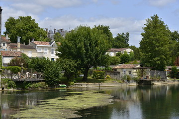 Fototapeta na wymiar Algues à fleur d'eau dans la Charente devant un quartier élégant et résidentiel de Jarnac
