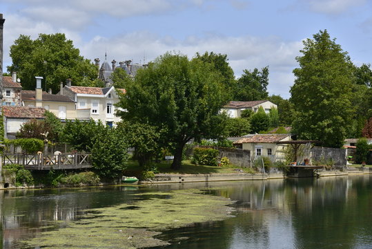 Algues à fleur d'eau dans la Charente devant un quartier élégant et résidentiel de Jarnac