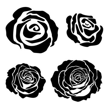 Set of different graphic roses