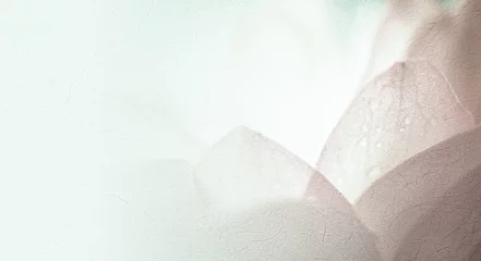 Photo sur Plexiglas fleur de lotus lotus de couleur douce dans une couleur douce et un style flou sur la texture du papier de mûrier