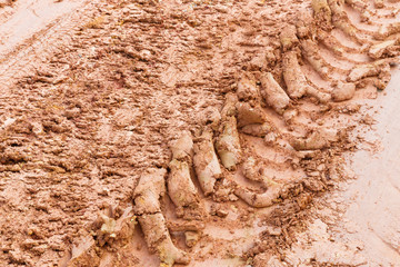 Tire track on lateritic soil