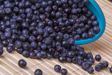 scattered blueberries