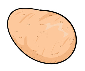 Potato, a hand drawn vector illustration of a fresh potato, isolated on a white background (editable).