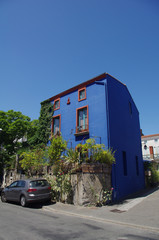 Fototapeta na wymiar La maison bleue