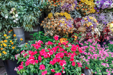 Flowers outside of flower shop