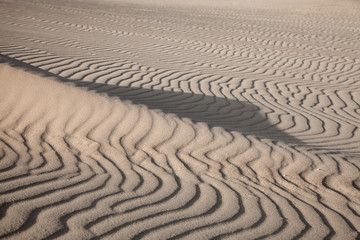 Fototapeta na wymiar Fuerteventura, Canary Islands, Dunes of Corralejo