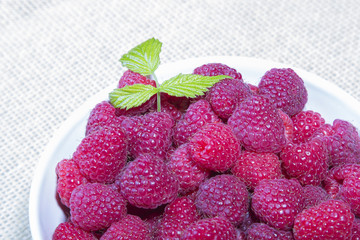 raspberries in a white bowl on a light background
