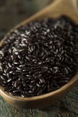 Raw Dry Organic Black Rice