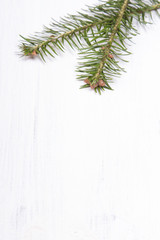 Obraz premium fir branches on a white wooden background 