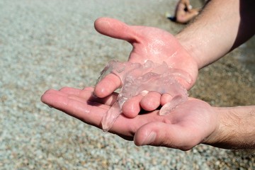 Медуза на руках