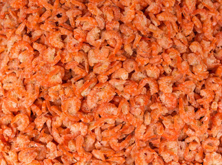 Dry Shrimp