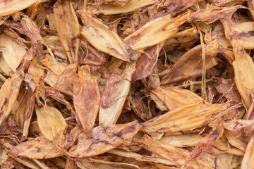 Fototapeta premium Dry squid in Thai Market.