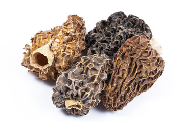 Morel Mushrooms