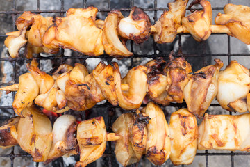 Squid grill with charcoal.