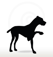 Fototapeta premium dog silhouette in shake hands pose