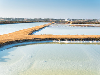 saltworks