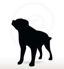dog silhouette