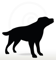 dog silhouette