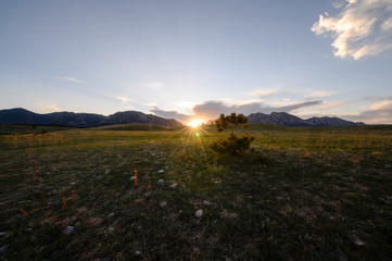 Fototapeta premium Sunset at grassy field