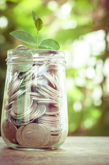 plant growing out of coins with filter effect retro vintage styl