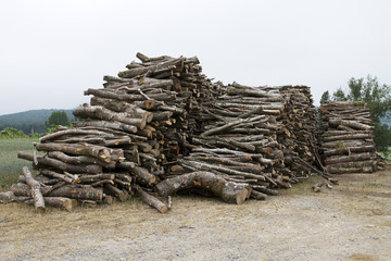 Beech wood stacked