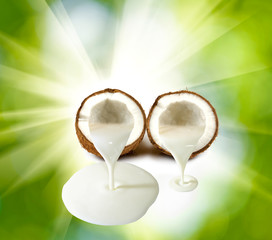 Image of coconut