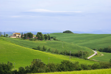 Obraz premium Typical Tuscan countryside on a summer day