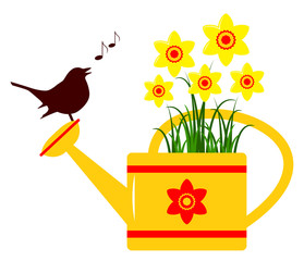 daffodils in watering can