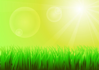 Fototapeta na wymiar Vector : Green grass and sunny sky