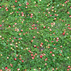 Square seamless texture of the grass with apples.