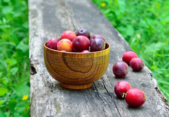 Bowl with plum