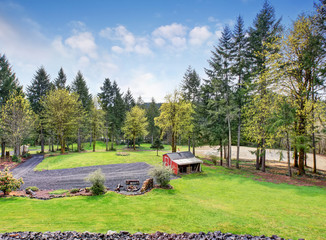 Large grass filled back yaard with a shed.