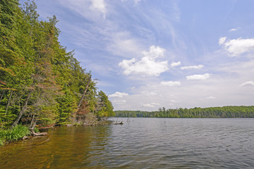 Sunny Day in the North Woods