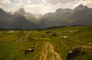 Fototapeta na wymiar Alp Flix – Wandern in den Alpen
