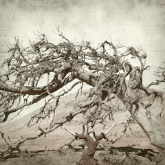 textured old paper background