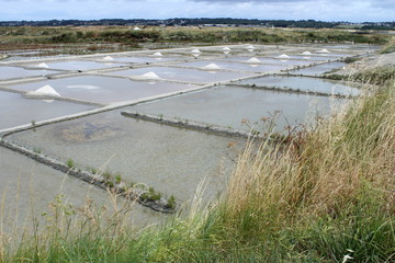 Les Marais salants de Guérande. Récolte de sel de mer.