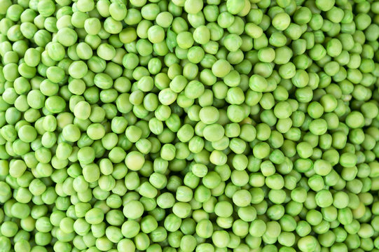 Pile of fresh green peas on display at the Devaraja outdoor market in India