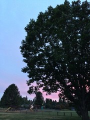 Dusk over the playground
