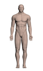 Fototapeta premium Man