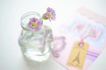 シレネの花とコラージュカード