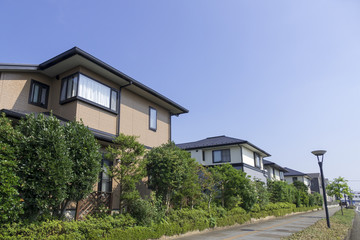 分譲住宅街　イメージ　青空　並木　歩道