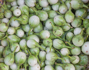 Background of fresh eggplant, Thailand market.