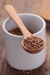 Coriander