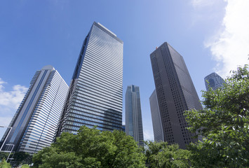 新宿高層ビル街　快晴　青空　緑　超ワイド　見上げる　コピースペース