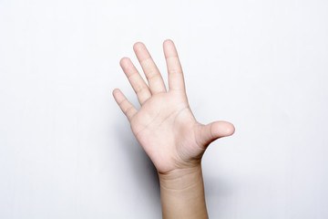 Girl raising five fingers up on hand on white background.
